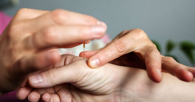 My Path to Becoming a Traditional Chinese Medicine Practitioner